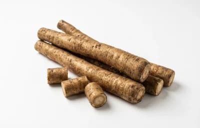 raw burdock root