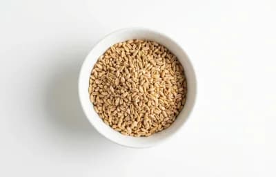 dry wheatena