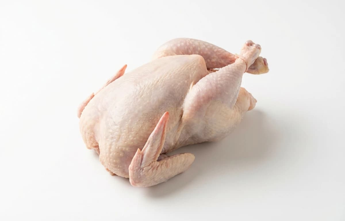 raw squab