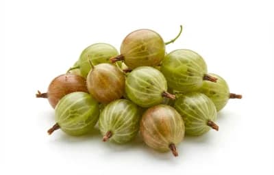 raw gooseberries