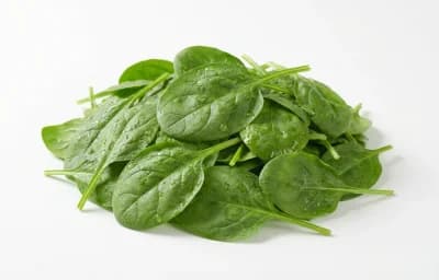Fresh Baby Spinach