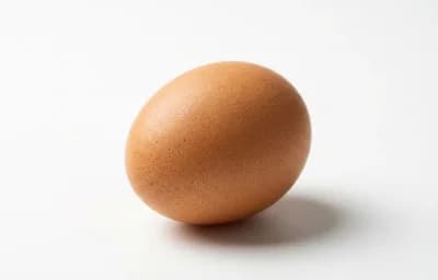 whole egg