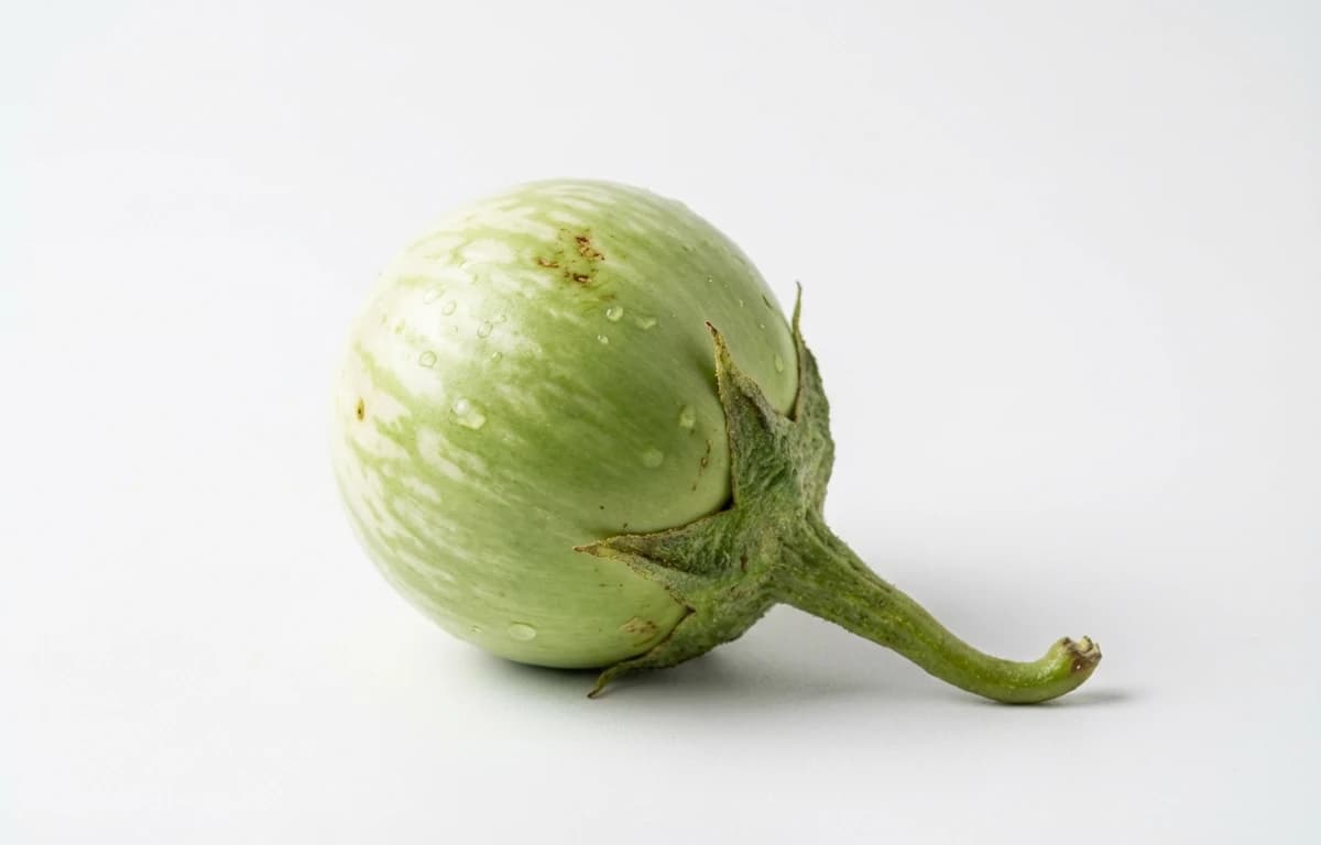 matti gulla eggplant