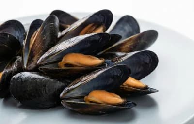 mussels