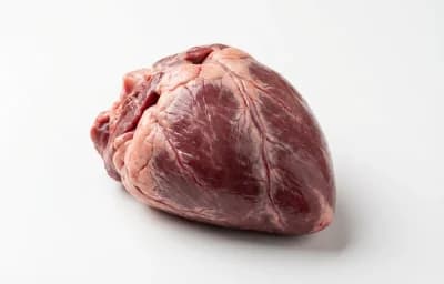 raw lamb heart