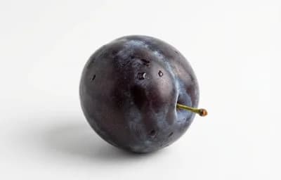 raw black plum