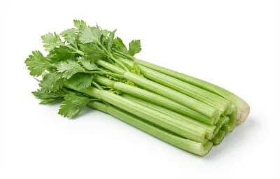 raw celery