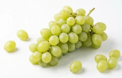 raw thompson seedless grape