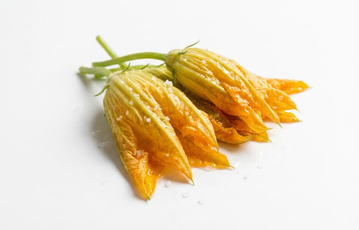 boiled salted pumpkin flower