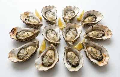 cooked dry heat eastern oyster