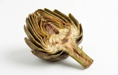 boiled unsalted globe artichoke