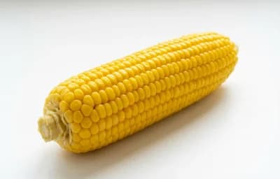 boiled unsalted yellow corn on cob