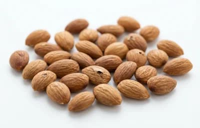 Apricot Kernels