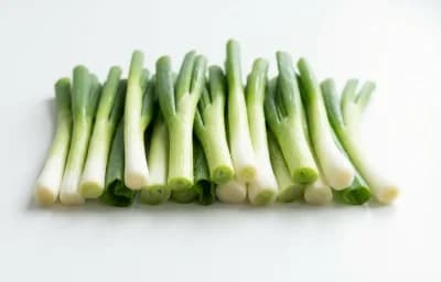 young green onion tops