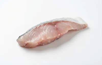 Kingfish Fillet