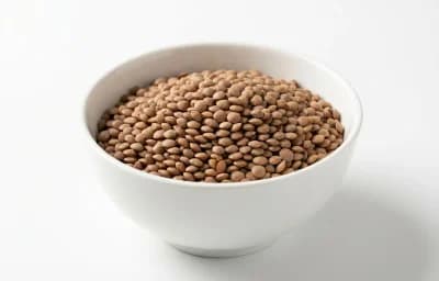 brown whole lentil