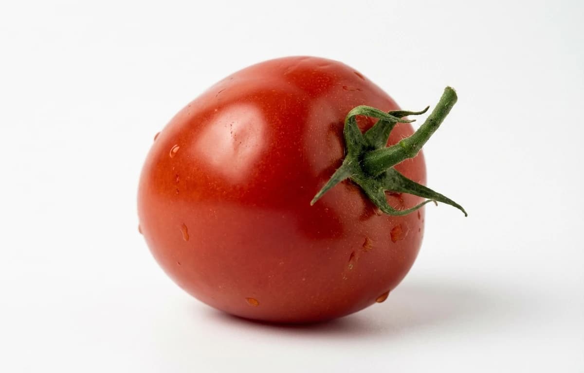 roma tomato