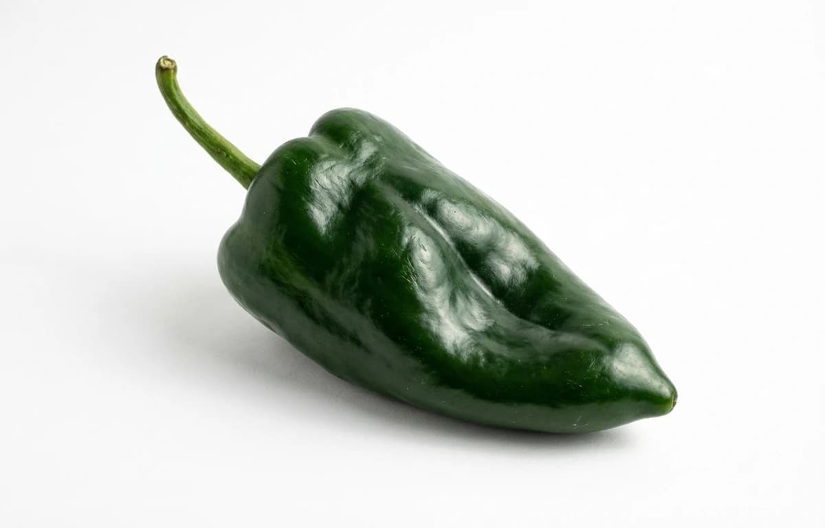 poblano pepper