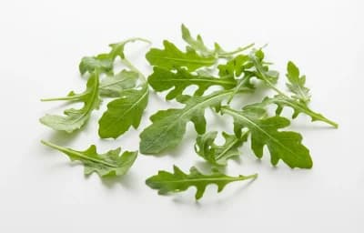 arugula