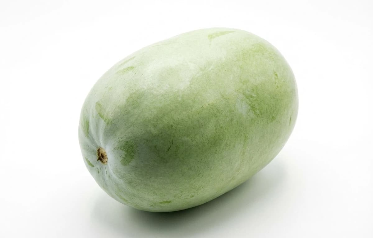 ash gourd